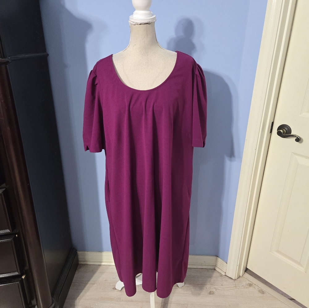 Standards & Practices Size 3x Dress